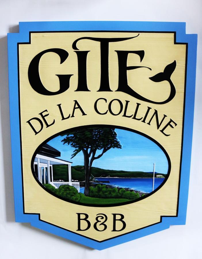 Gite De La Colline 拜圣卡特琳 外观 照片
